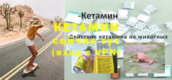 шишки Дмитриев