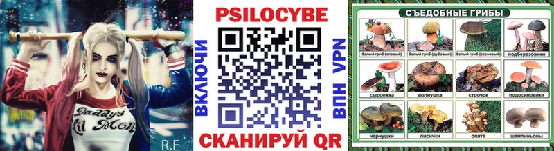 где найти   Балабаново  Галлюциногенные грибы Psilocybine cubensis 