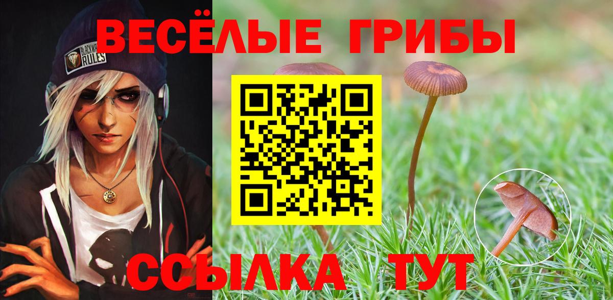 Псилоцибиновые грибы мицелий  Вход с VPN  Балабаново 
